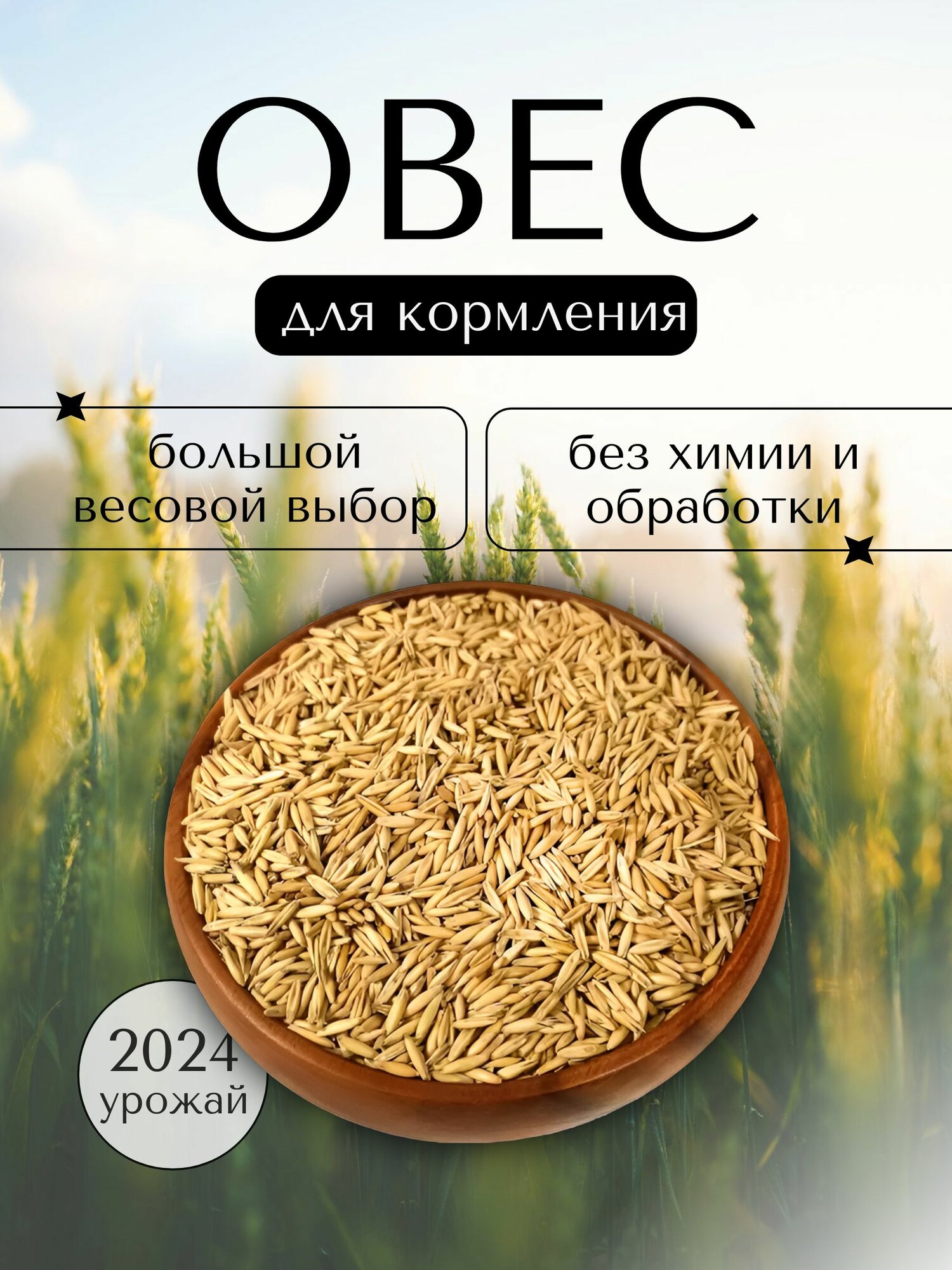 Овес фуражный. Корм для птиц, для скота. Кормовая добавка 3 кг.