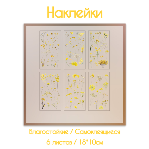 фото Набор наклеек "цветы и растения", для скрапбукинга, 18x10 см, 6 листов с наклейками