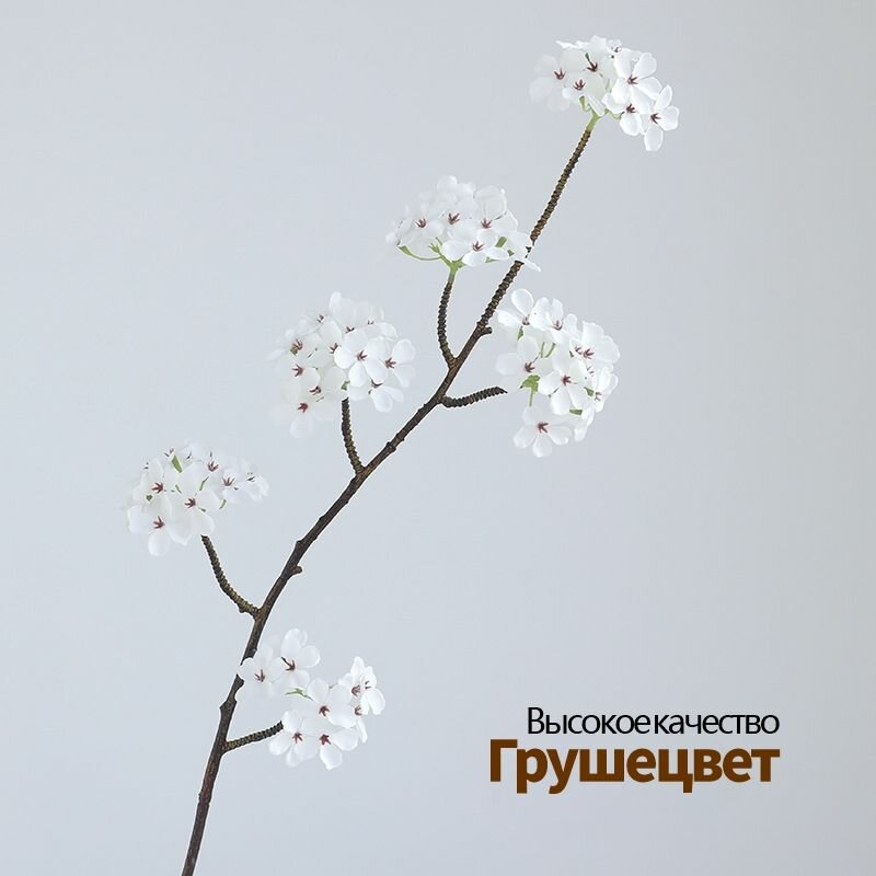 Стабилизированные цветы, Грушецвет, 90 см, 5 штук