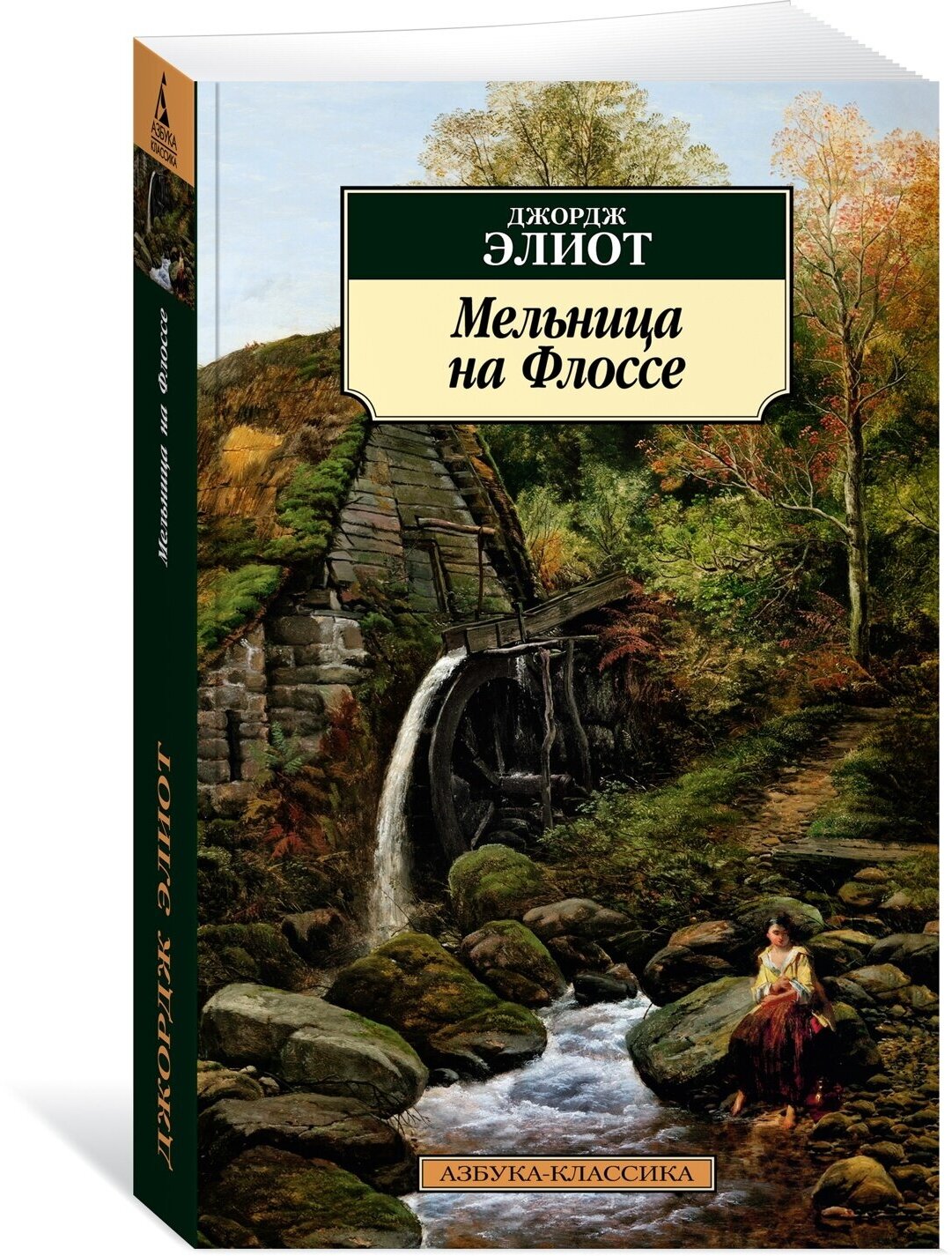 Книга Мельница на Флоссе