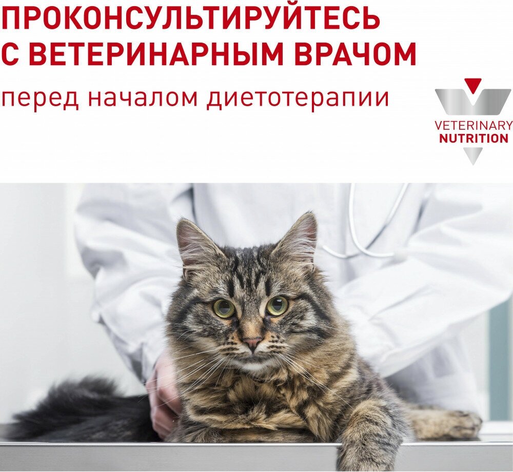 Сухой корм для кошек Royal Canin Calm CC 36, в период восстановления после болезни 2 кг - фотография № 15