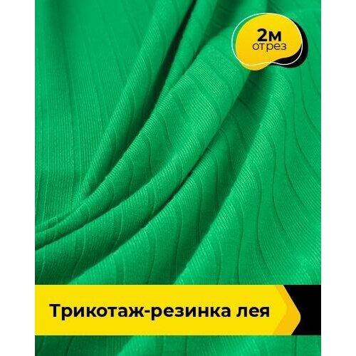 Ткань для шитья и рукоделия Трикотаж-резинка Лея 2 м * 150 см, зеленый 013 ткань для шитья и рукоделия трикотаж резинка лея 2 м 150 см бежевый 006