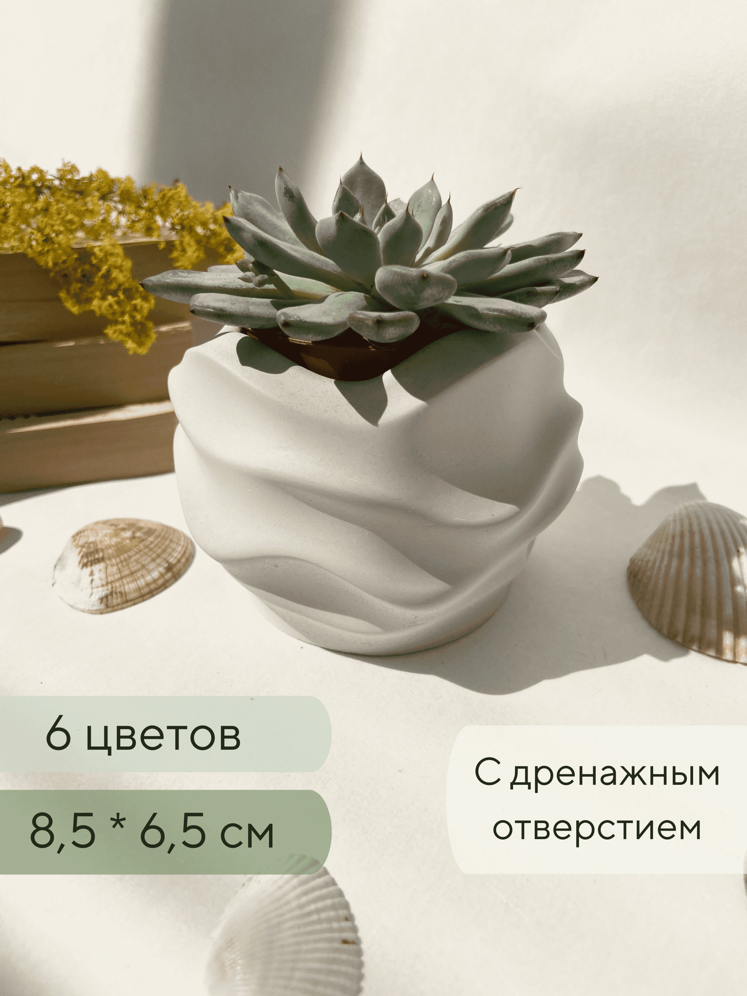 Кашпо для суккулентов / Горшок для кактусов 85 х 65 см
