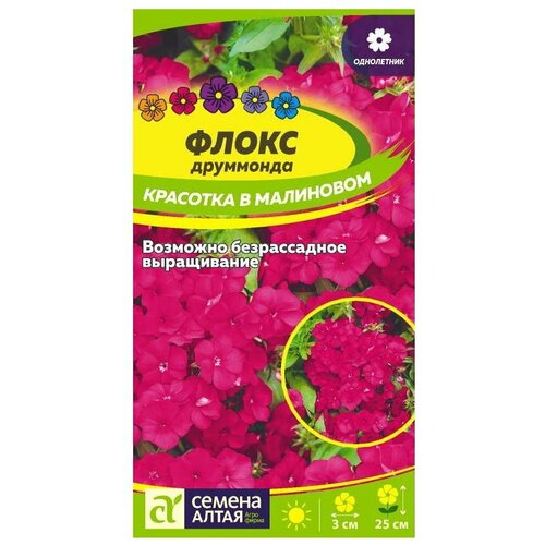 Флокс Красотка в малиновом друммонда 0,1г Одн 25см (Сем Алт)
