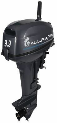 Двигатель ALLFA CG T 9,9 BWS