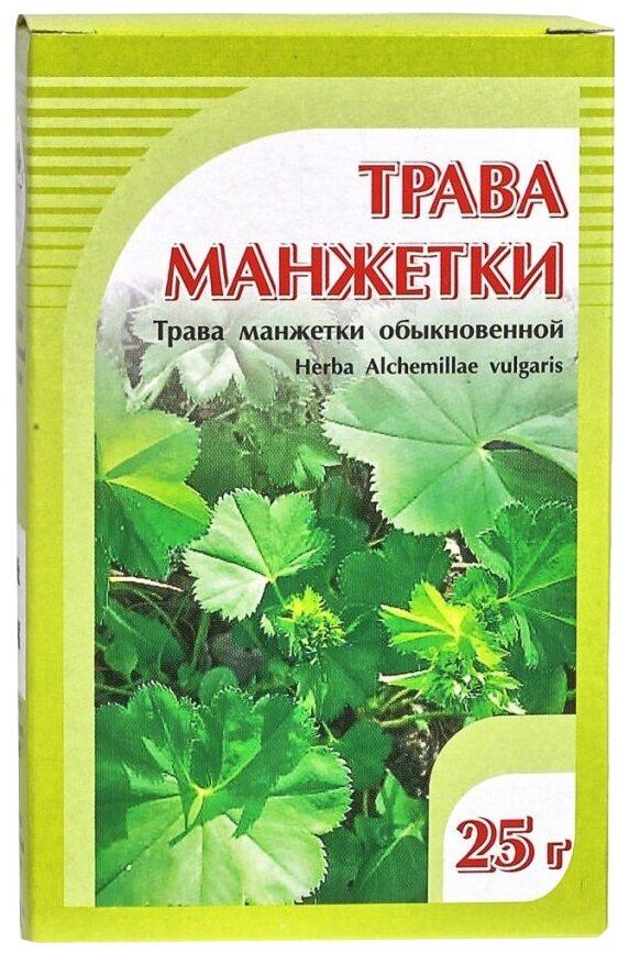 Хорст трава Манжетки