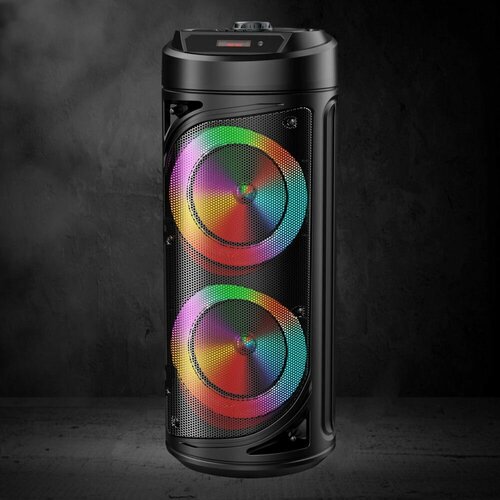 Портативная колонка GINZZU GM-229 30 Вт черный 414700₽