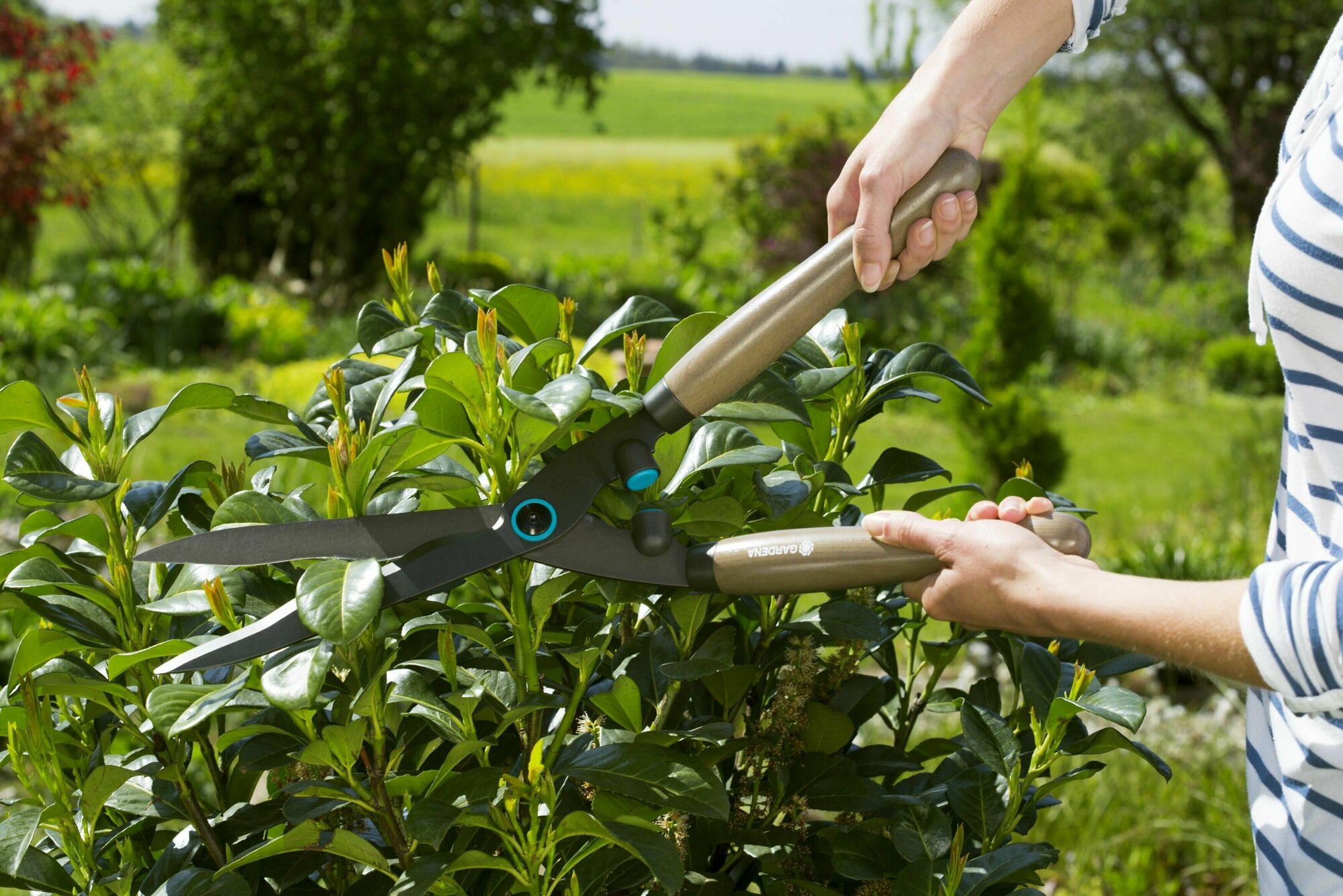 Ножницы для живой изгороди Gardena NatureCut механические - фотография № 7