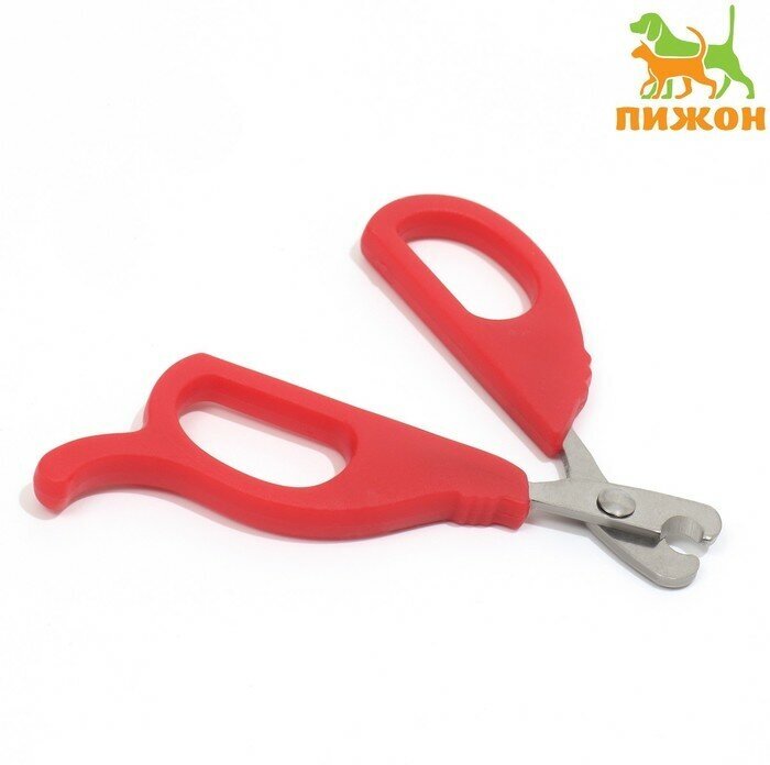 Ножницы-когтерезы малые с упором для пальца 10 х 5 х 05 см эконом микс цветов 2 штуки
