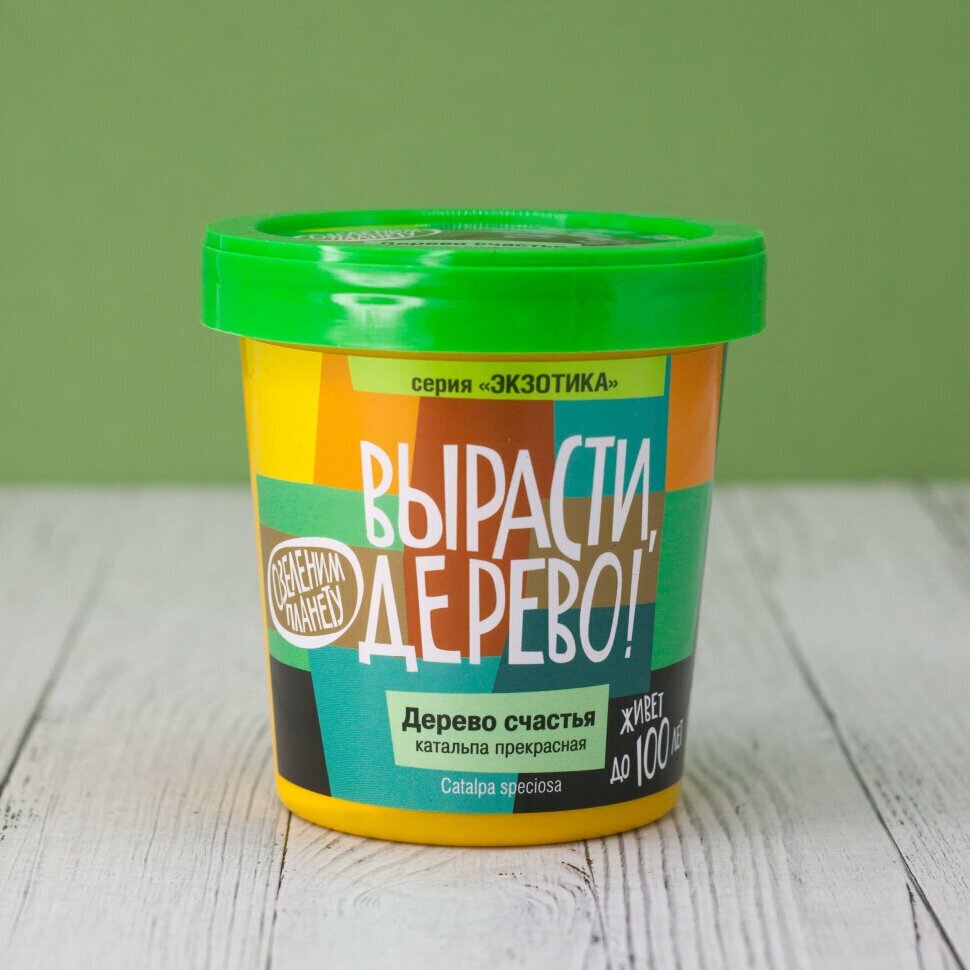 Набор, Вырасти дерево! Дерево счастья катальпа - фото №10