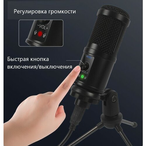 Микрофонный комплект разъем USB черный 190000₽