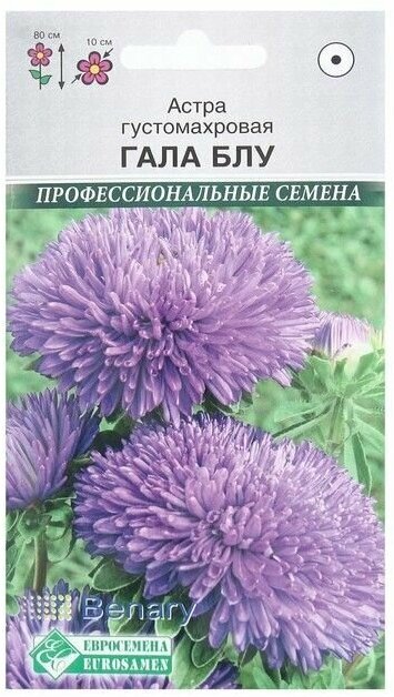 Семена Цветов Астра густомахровая Гала Блу 10 шт ( 1 упаковка )