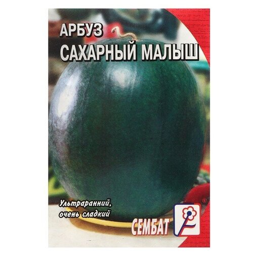 Семена Арбуз Сахарный малыш, 1 г семена урожай удачи арбуз сахарный малыш