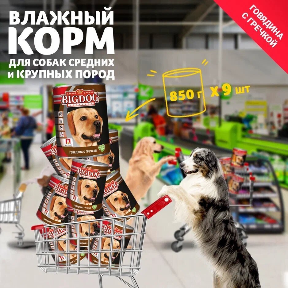 Корм влажный Зоогурман для собак BIG DOG Говядина с гречкой 9*850гр