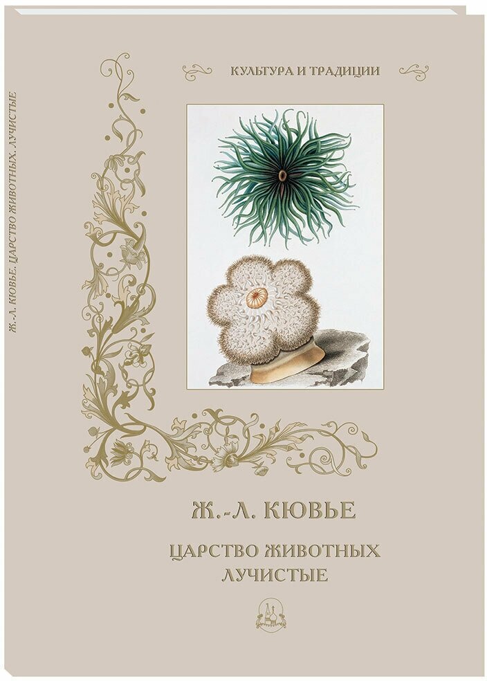 Ж.-Л. Кювье. Царство животных. Лучистые - фото №6
