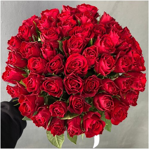 Розы Кения 51 шт Красные 38 см арт.11762 - Просто роза ру