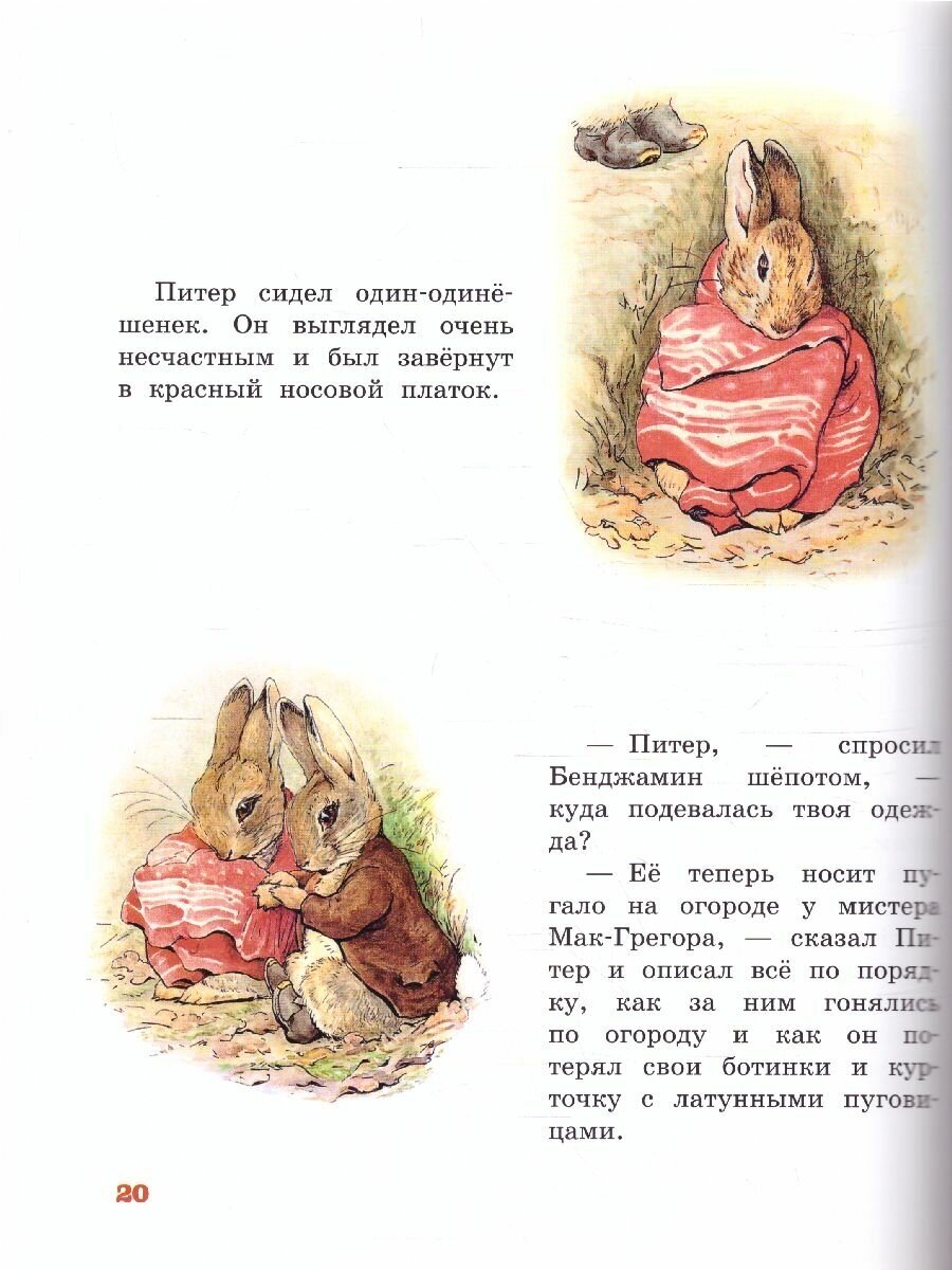 Питер-кролик (Детская библиотека на все времена) - фото №6