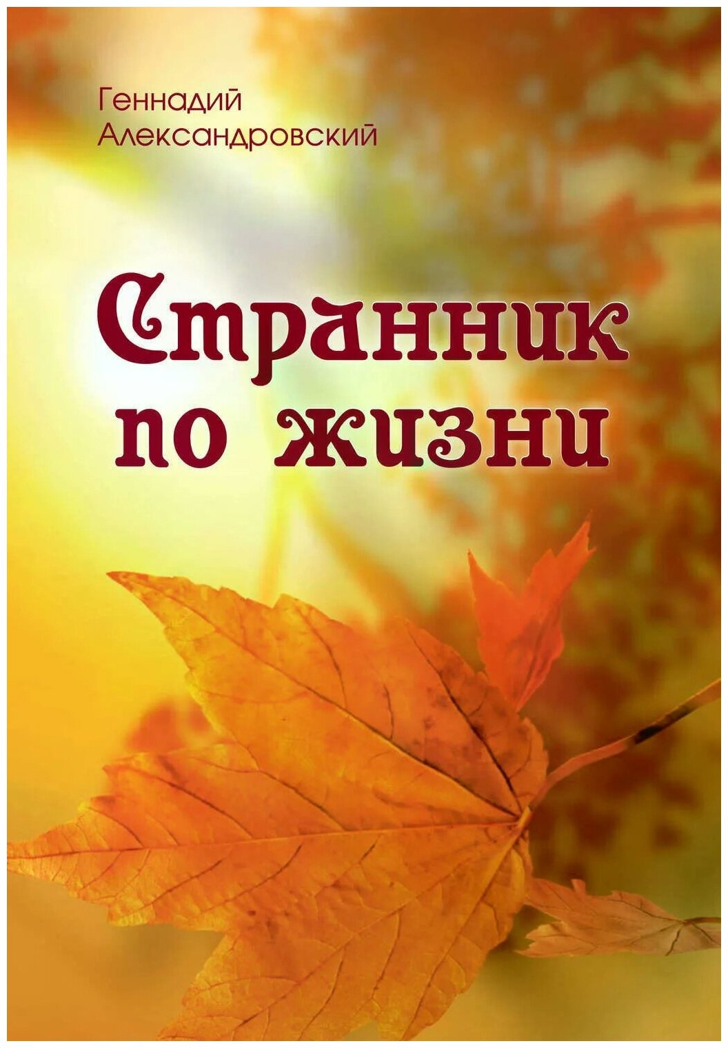 Странник по жизни (Александровский Геннадий Яковлевич) - фото №1