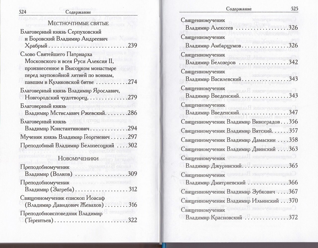 Святой Владимир (Сост. Филимонова Л.В.) - фото №4