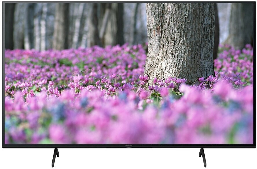 Телевизор Sony 65" KD-65X75K - фото №12