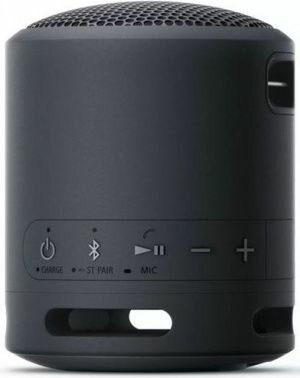 Портативная колонка Sony SRS-XB13 черный 5W Mono BT 10м