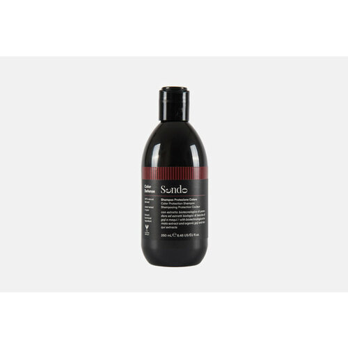 Шампунь для сохранения цвета волос Color Protection Shampoo 250 мл