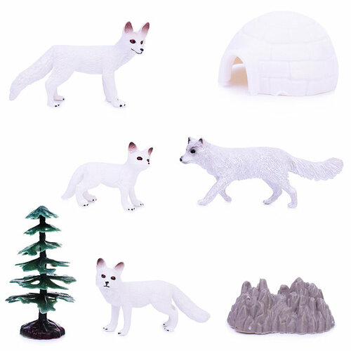 Набор животных Семейство кошачьих в тубусе 660₽