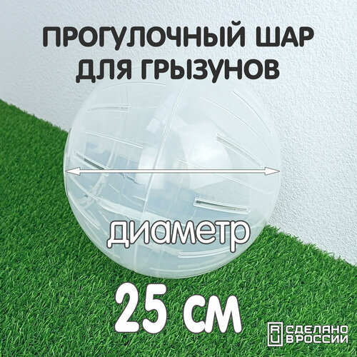 Прогулочный шар для грызунов, шиншилл, морских свинок, крыс, мышей, хомяков, 25 см, прозрачный