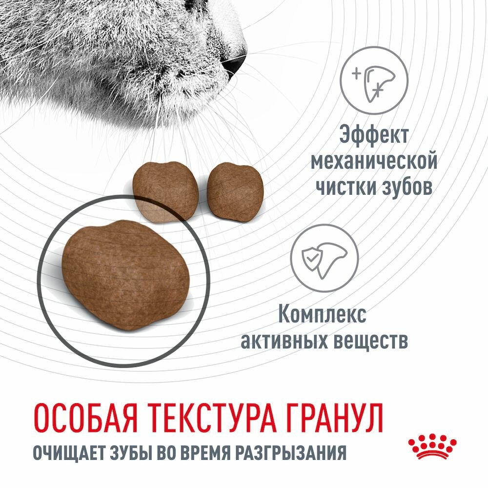 Корм Royal Canin сухой полнорационный сбалансированный для взрослых кошек, Dental Care, 1,5 кг. — фото 1
