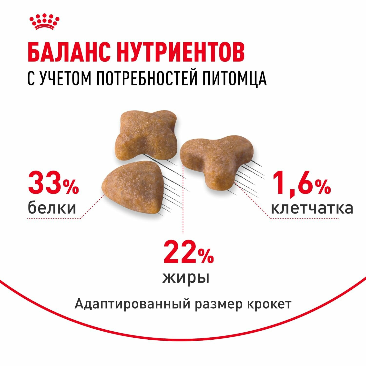 Royal Canin Корм сухой сбалансированный для взрослых кошек с чувствительной пищеварительной системой, Sensible 33, 400 г — фото 1