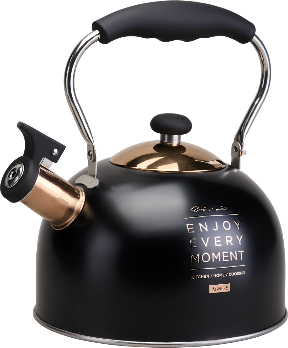 Чайник для плиты 914-162 2,5л индукция