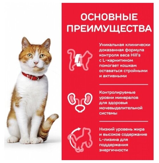 Сухой корм Hill's Science Plan для молодых стерилизованных кошек и кастрированных котов , с тунцом, 300 г - фотография № 13
