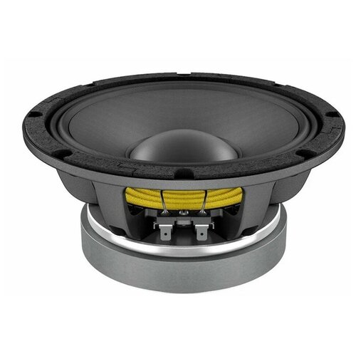 Динамик профессиональный НЧ Lavoce CSF08200K 894000₽