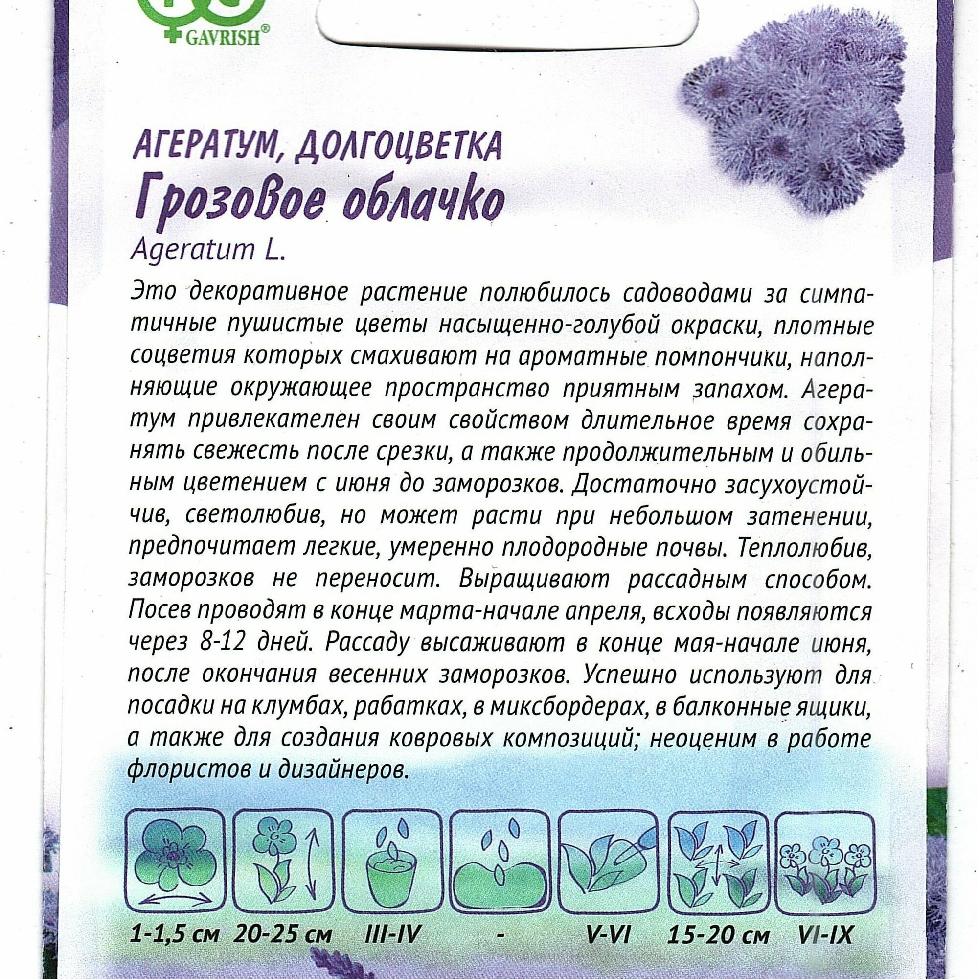 Семена агератум Гавриш Лавандовые грезы Грозовое облачко 0,1 г - фото №4