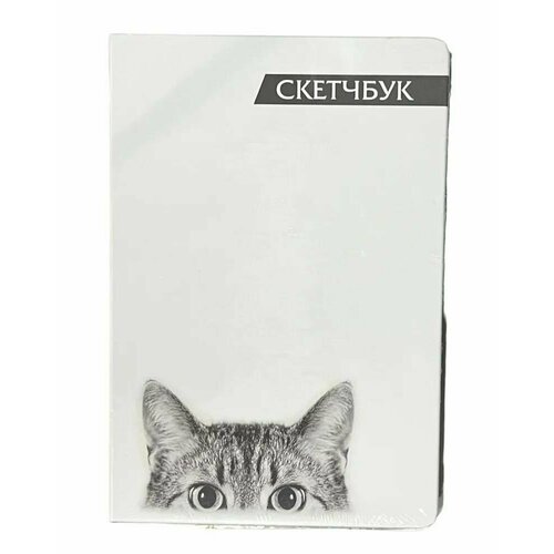 Скетчбук Кот с кремовыми листами в твердой обложке - формат А5, 80 листов