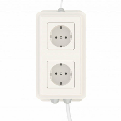 EctoControl, Блок управления 2-мя розетками RS485 (Modbus)