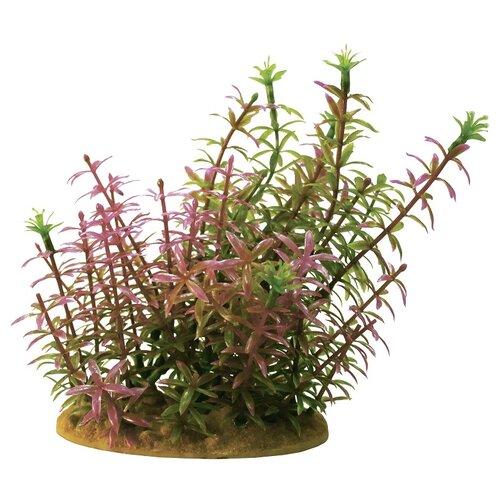 Искусственное растение Prime Альтернатера PR-YS-60112 15 см зеленый/розовый