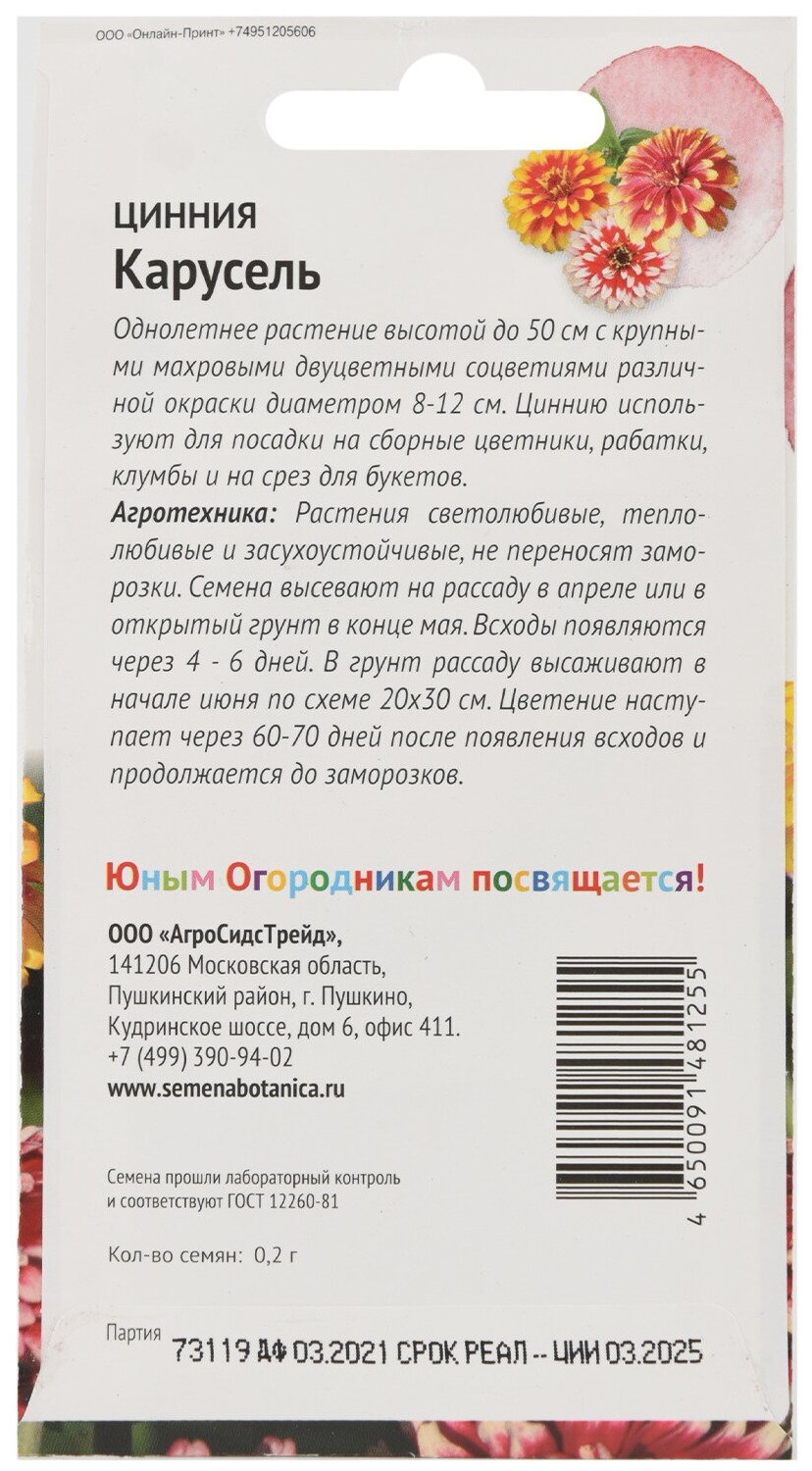 Цинния Октябрина Ганичкина - фото №4