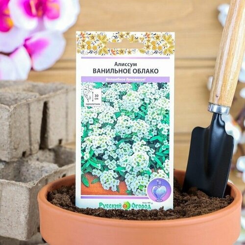 Семена цветов Алиссум Ванильное облако, серия Парфюм, О, 0,1 г, 3 пачки алиссум