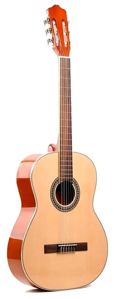 Гитара классическая DEVISER L-310 N