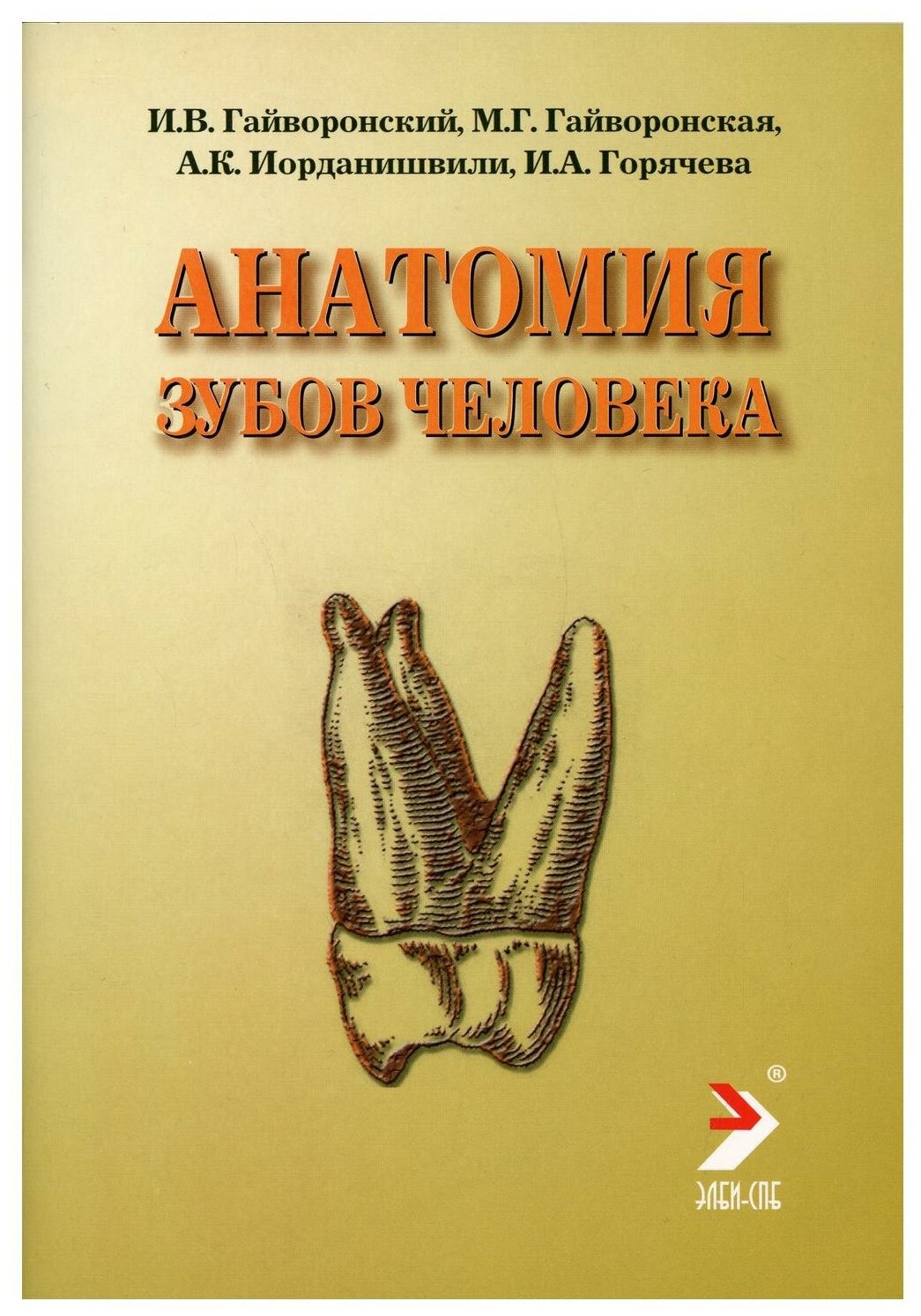 Анатомия зубов человека: Учебное пособие. 4-е изд, испр. и доп