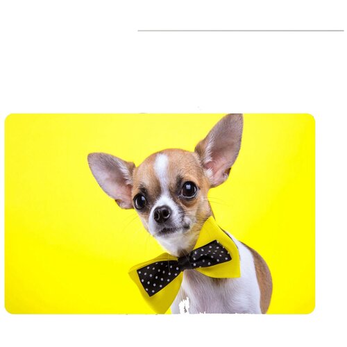 Коврик для мыши 420*290*3 CoolPodarok Собака на желтом фоне