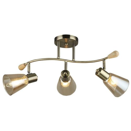 Потолочный светильник Wedo Light Perri 66775.01.05.03