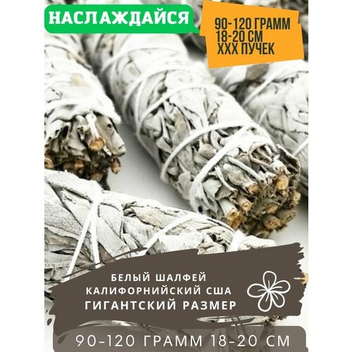 Благовония Калифорнийский белый шалфей - white sage (18 - 20см 90 - 120г) очищение пространства и медитации благовоние скрутка white sage калифорнийский белый шалфей 22 см 100 г