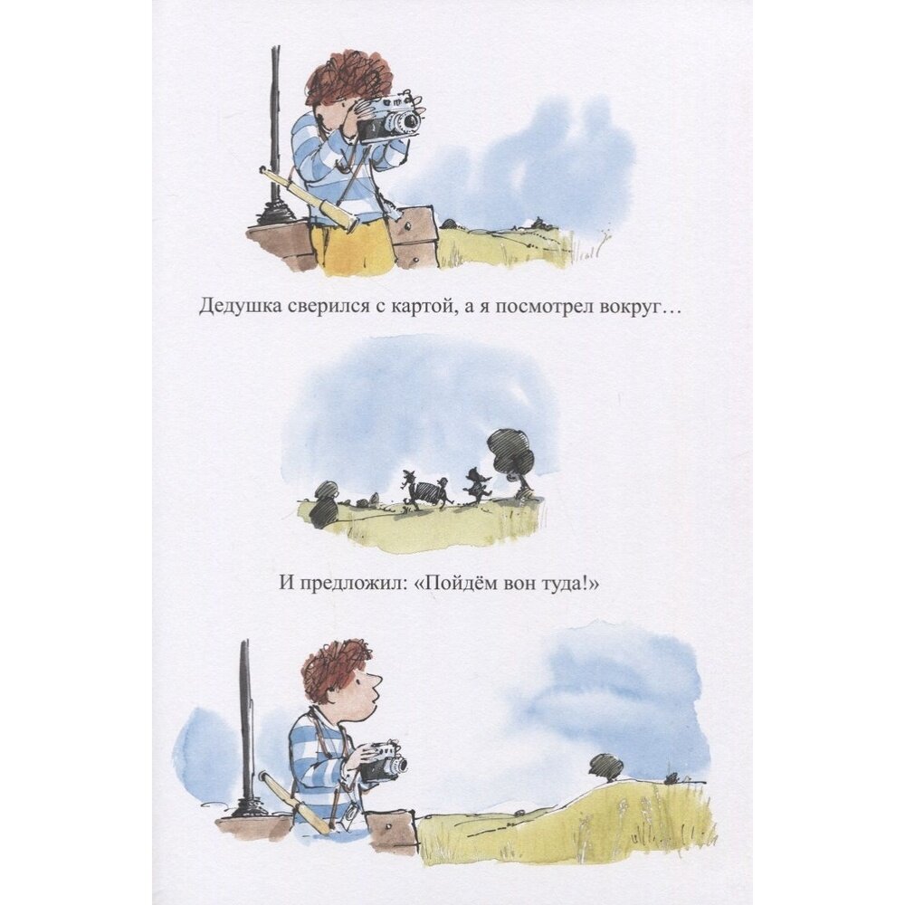 Солнце (Ашер Сэм (иллюстратор), Андреев А.В. (переводчик), Ашер Сэм) - фото №13