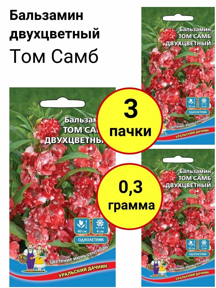 Бальзамин Том самб двухцветный 0,1г, Уральский дачник - комплект 3 пачки