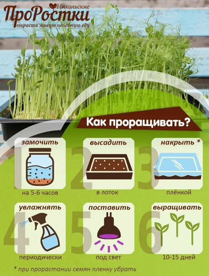 Зеленый горох кресс-афилла семена на усатую микрозелень и проращивание 2 кг