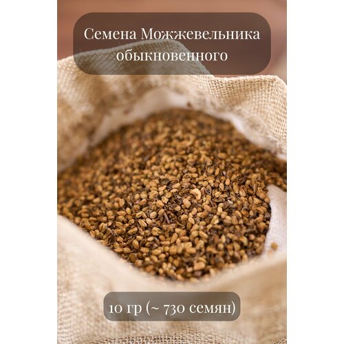 Семена Можжевельника обыкновенного