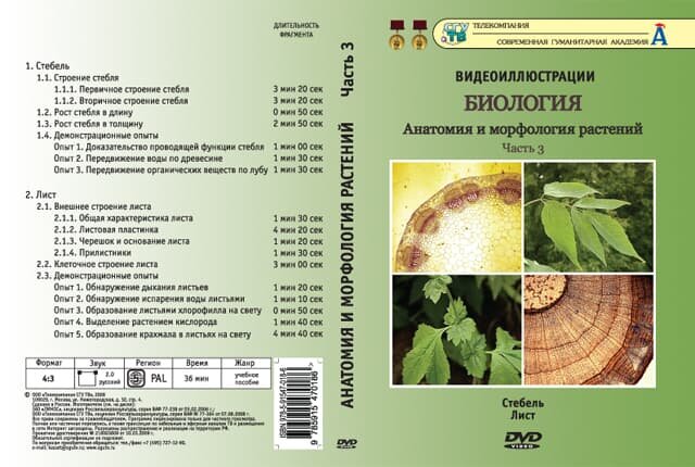 Биология. Анатомия и морфология растений. ч.3 (DVD, 17 фрагментов, 36 мин.)