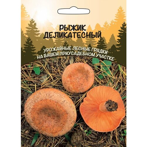 Мицелий Грибы Рыжик Деликатесный 15гр/30мл